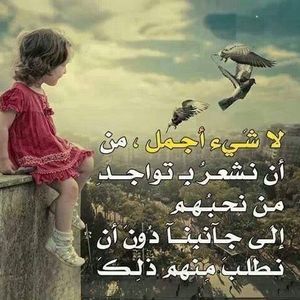 Meet your Posher, Josef